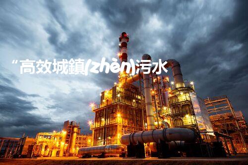 “高效城鎮(zhèn)污水處理流程，守護(hù)碧水藍(lán)天新篇章”